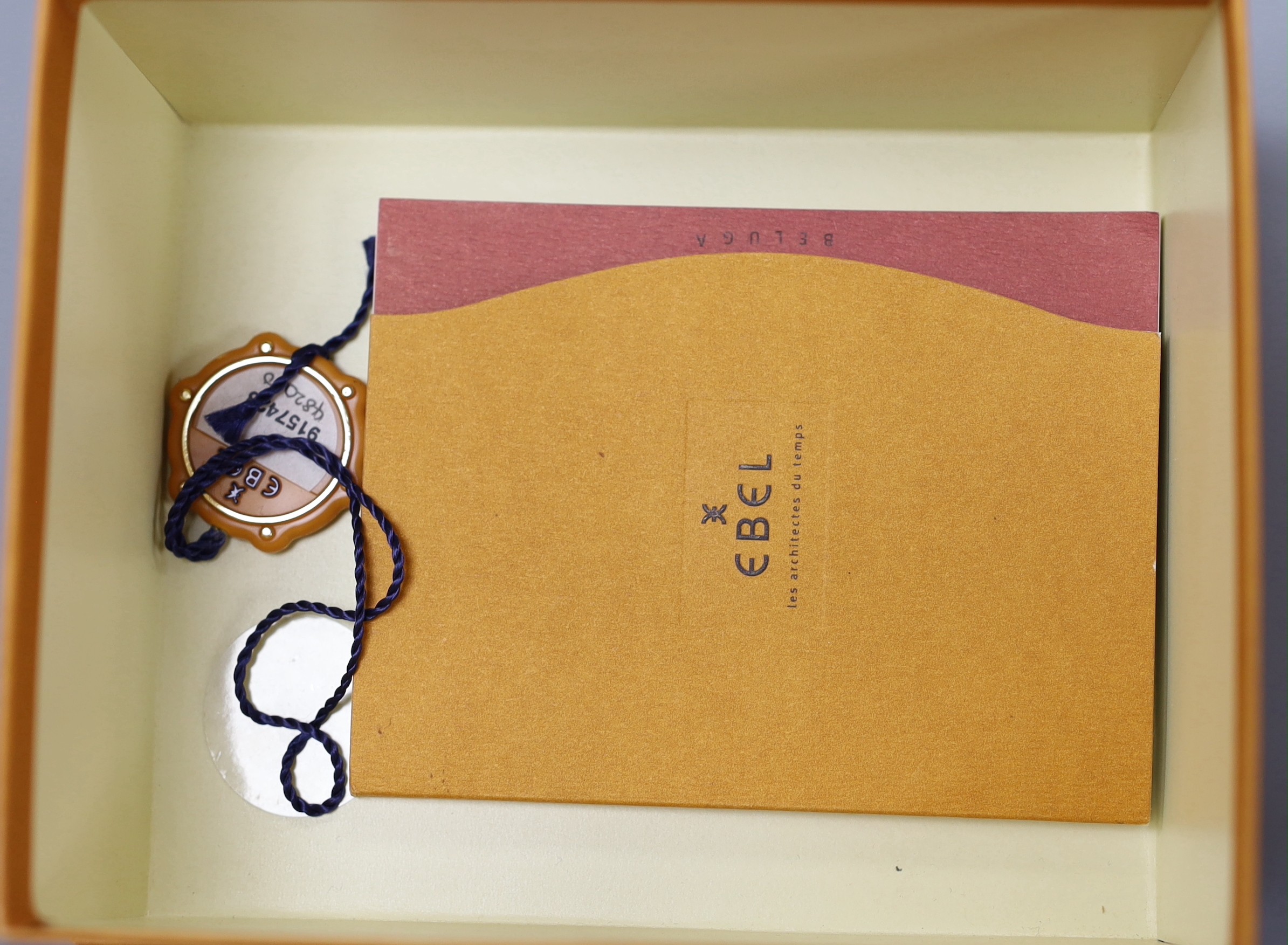 A lady's modern stainless steel Ebel quartz wrist watch and bracelet with diamond set dial and bezel, with box and papers.